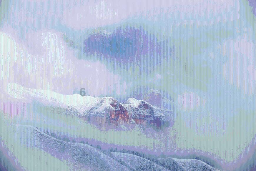 救援小洋葱